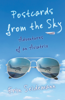 book cover for Postcards from the Sky
