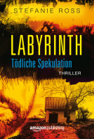 book cover for Labyrinth