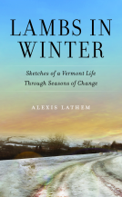 book cover for Lambs in Winter