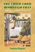 book cover for The Child from Dindefello Falls