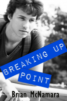 book cover for Breaking Up Point