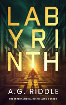 book cover for Labyrinth