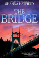 book cover for The Bridge