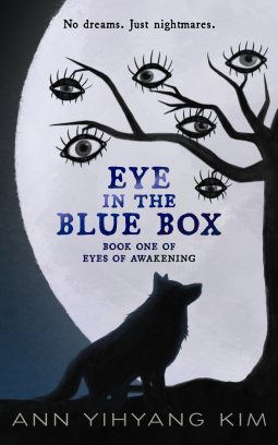 book cover for Eye in the Blue Box