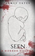 book cover for Seen