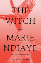 book cover for The Witch