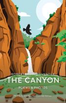 book cover for The Canyon
