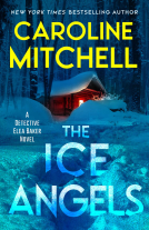 book cover for The Ice Angels