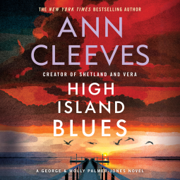 book cover for High Island Blues