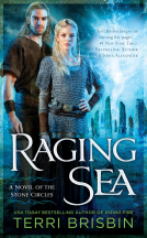 book cover for Raging Sea