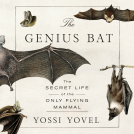 book cover for The Genius Bat