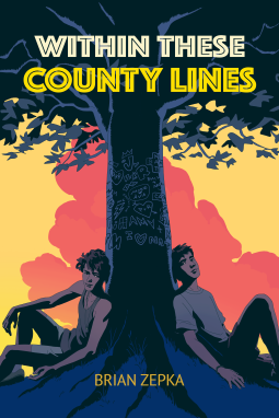 book cover for Within These County Lines