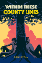 book cover for Within These County Lines