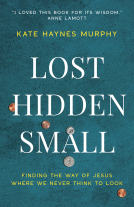 book cover for Lost, Hidden, Small