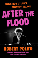 book cover for After the Flood