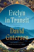 book cover for Evelyn in Transit