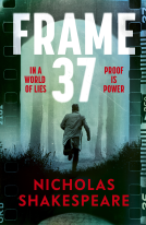 book cover for Frame 37