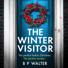 book cover for The Winter Visitor