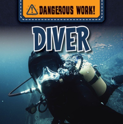 book cover for Diver