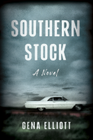 book cover for Southern Stock