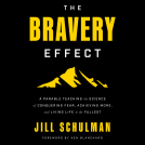book cover for Bravery Effect