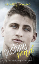 book cover for Pushing Send