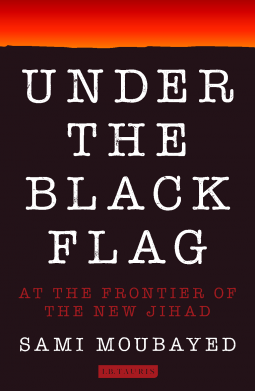 book cover for Under the Black Flag