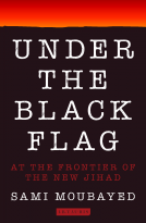 book cover for Under the Black Flag