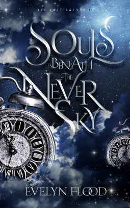 book cover for Souls Beneath the Never Sky