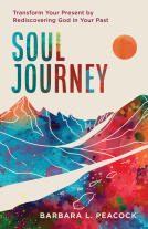 book cover for Soul Journey