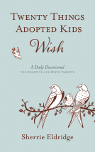 book cover for Twenty Things Adopted Kids Wish