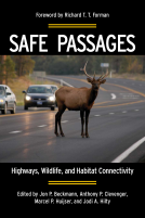 book cover for Safe Passages