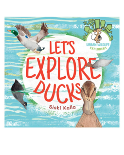 book cover for Let's Explore Ducks