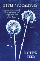book cover for Little Apocalypses