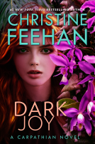 book cover for Dark Joy