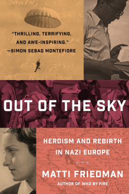 book cover for Out of the Sky