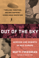 book cover for Out of the Sky