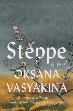 book cover for Steppe