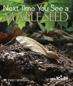 book cover for Next Time You See a Maple Seed