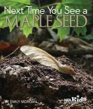 book cover for Next Time You See a Maple Seed