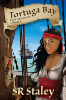 book cover for Tortuga Bay
