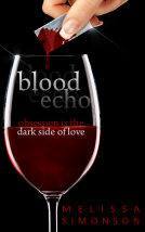 book cover for Blood Echo