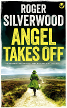 book cover for Angel Takes Off
