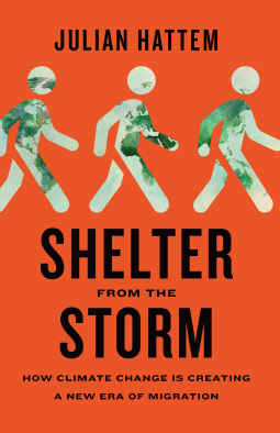 book cover for Shelter from the Storm