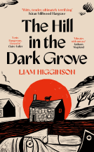 book cover for The Hill in the Dark Grove