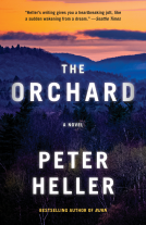 book cover for The Orchard
