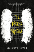 book cover for The Barred Window