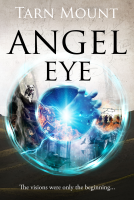 book cover for Angel Eye