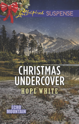 book cover for Christmas Undercover