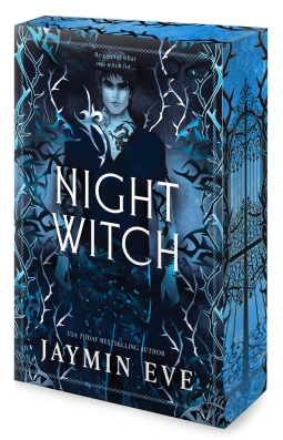 book cover for Night Witch